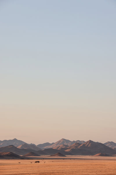 poster-print-desert-dawn-vista