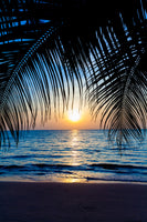 acrylic-print-through-the-palm