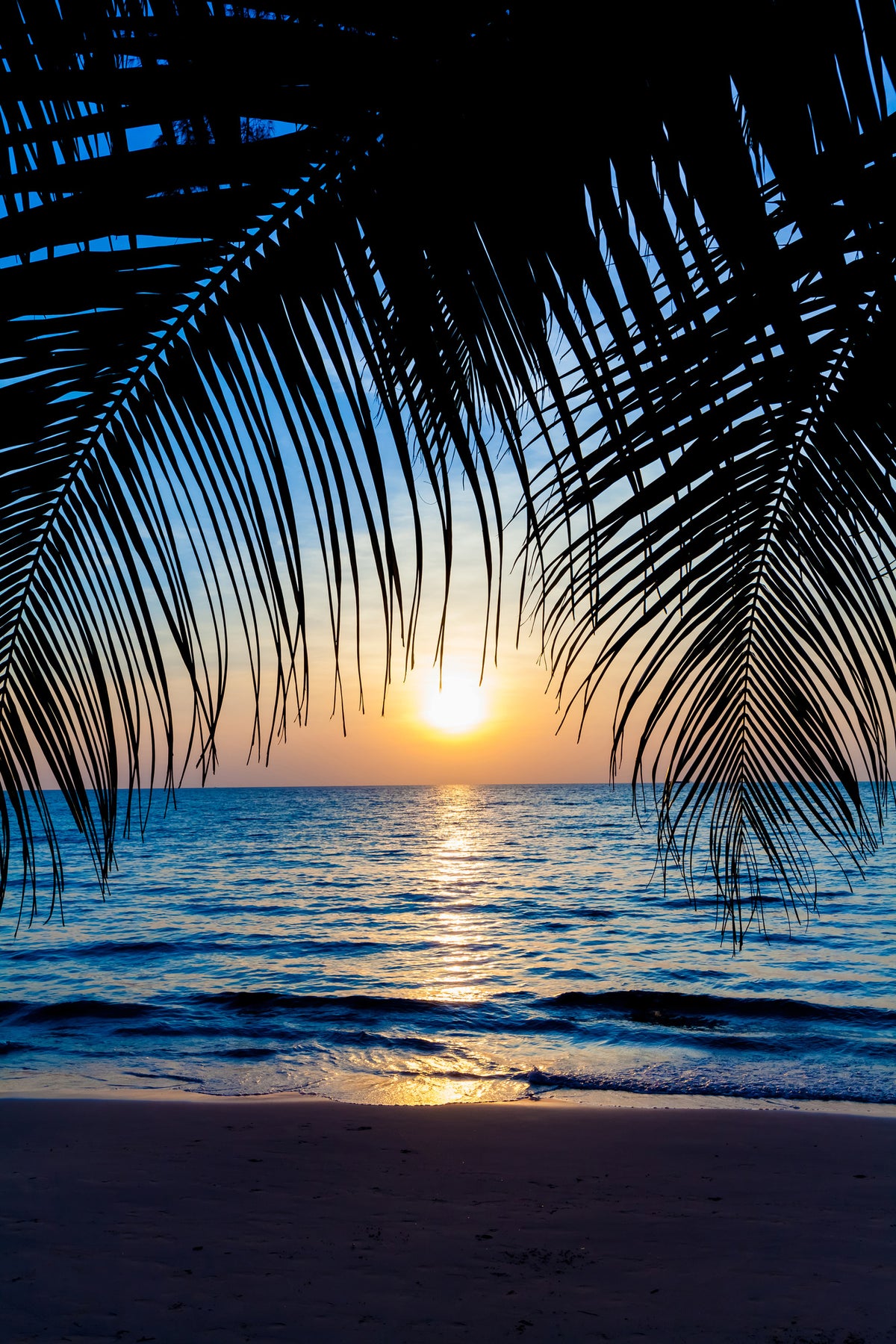 acrylic-print-through-the-palm