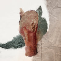 acrylic-print-abstract-horsehead