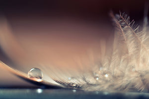 canvas-print-stories-of-drops