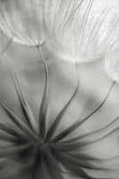 framedcanvas-print-into-the-heart-x