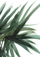 canvas-print-lush