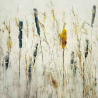 aluminium-print-cattail-and-reeds