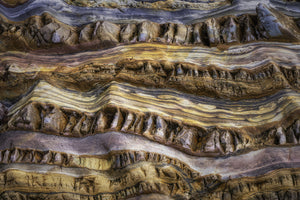modern-3-piece-canvas-print-abstractions-in-nature-2