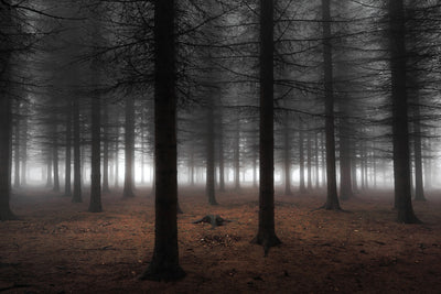 poster-print-silence-ii