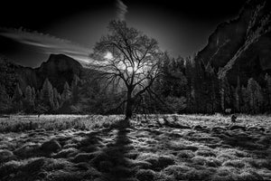 modern-3-piece-acrylic-print-the-winter-spirit