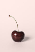 framedcanvas-print-single-cherry