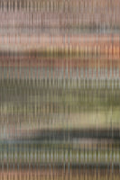 canvas-print-melody-4