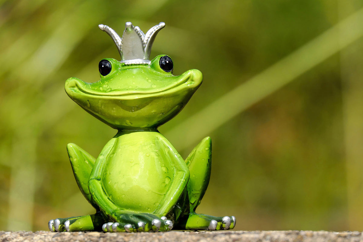 3-piece-canvas-print-mr-frog-king