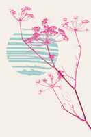 aluminium-print-plant-based-happyness-fennel-still-life