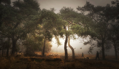 poster-print-foggy-memory-of-the-past-3