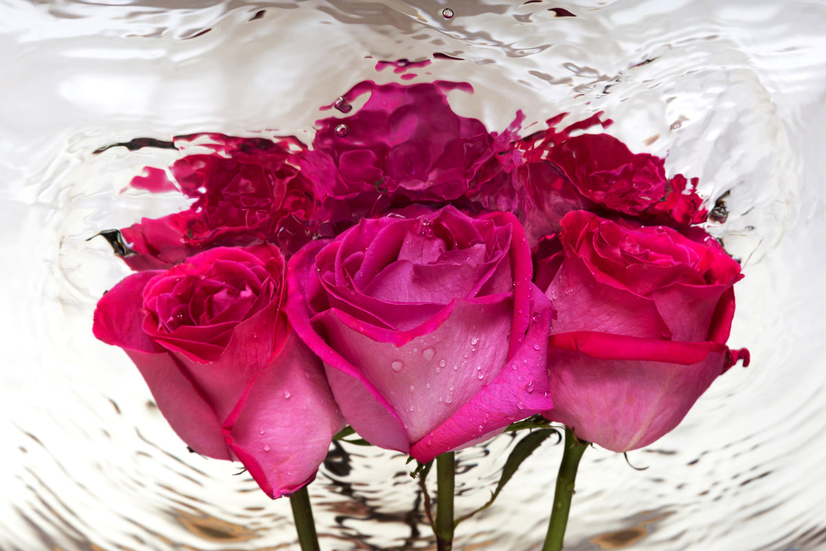 modern-3-piece-acrylic-print-the-rose-reflection
