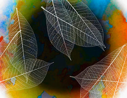 modern-4-piece-acrylic-print-abstractions-in-nature