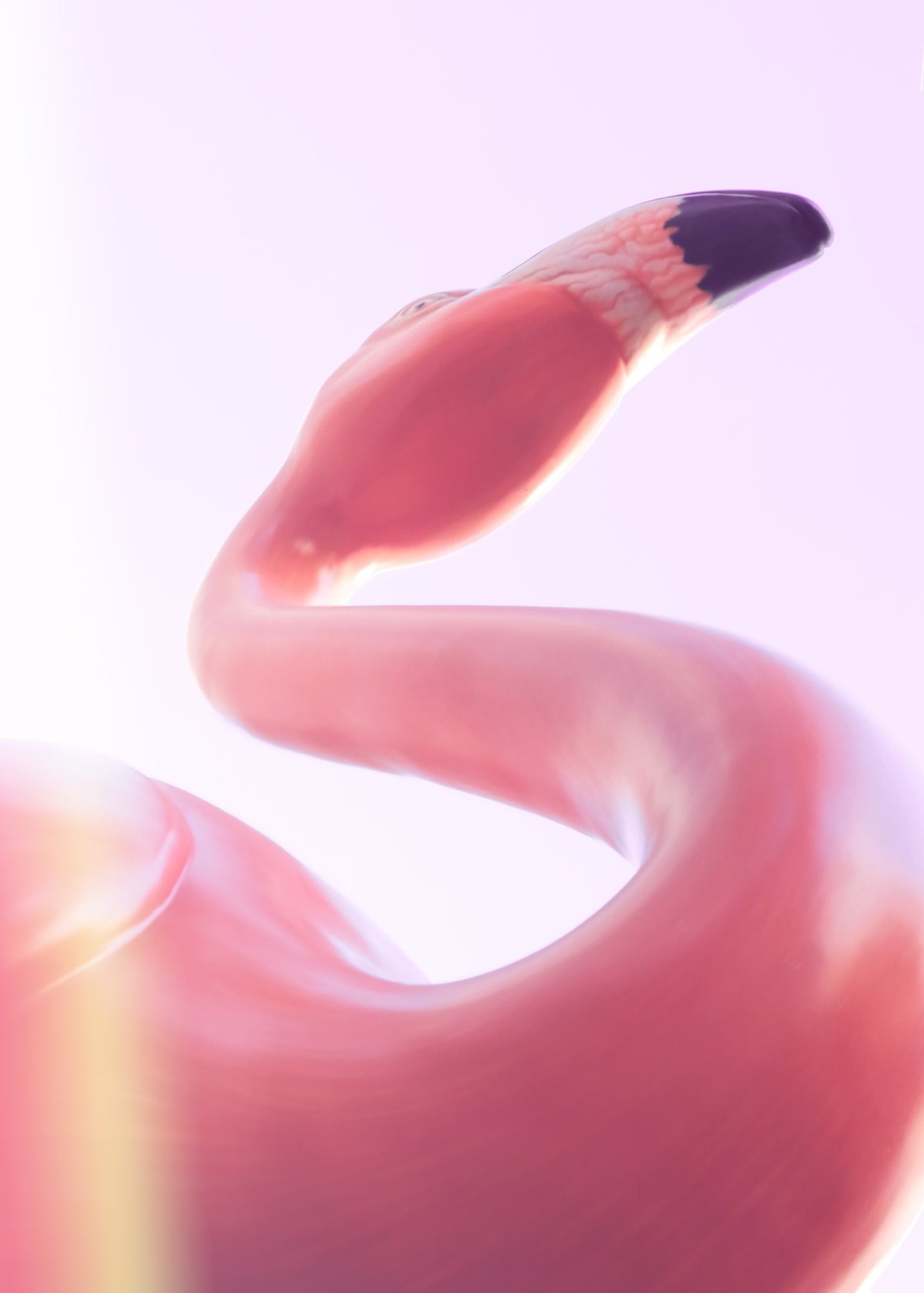 aluminium-print-flamingo-las-vegas