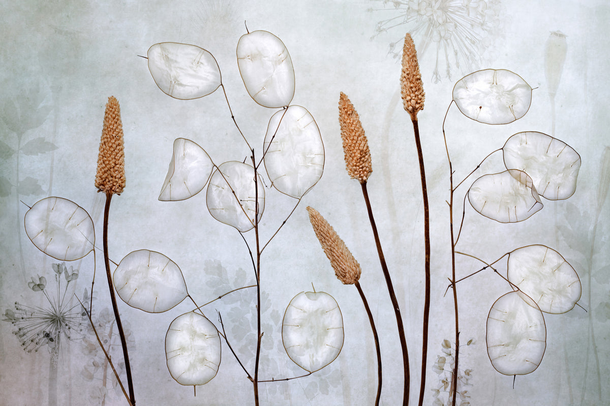 modern-3-piece-canvas-print-lunaria