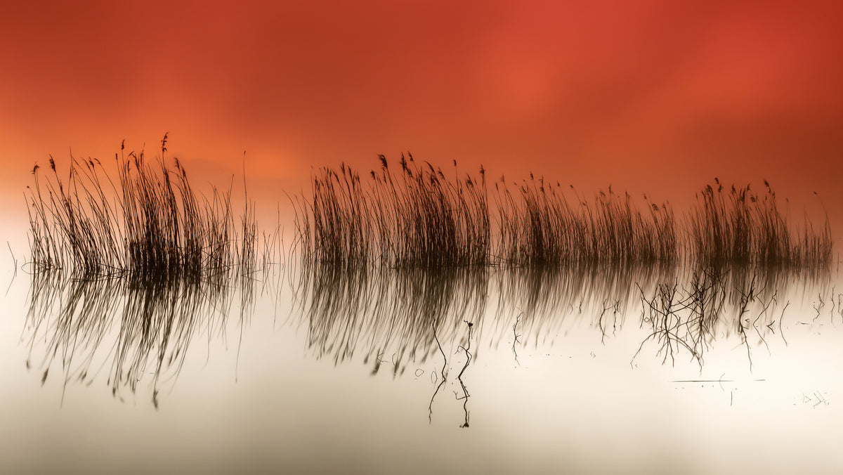aluminium-print-serenity-2
