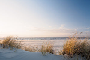 modern-3-piece-canvas-print-golden-dune-grass-at-the-beach