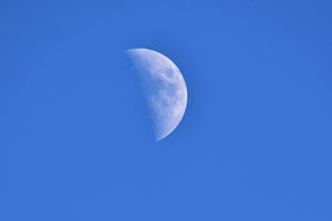 canvas-print-the-crescent