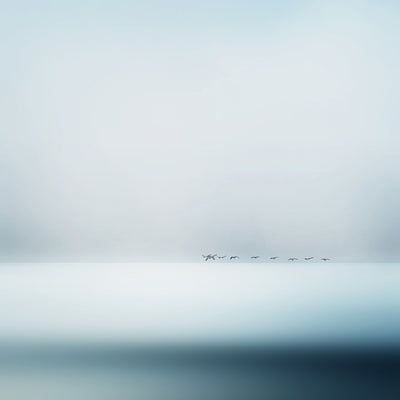 poster-print-wild-geese