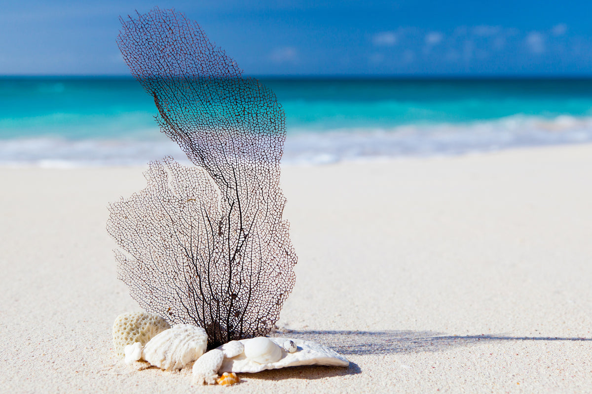 framedcanvas-print-beach-art