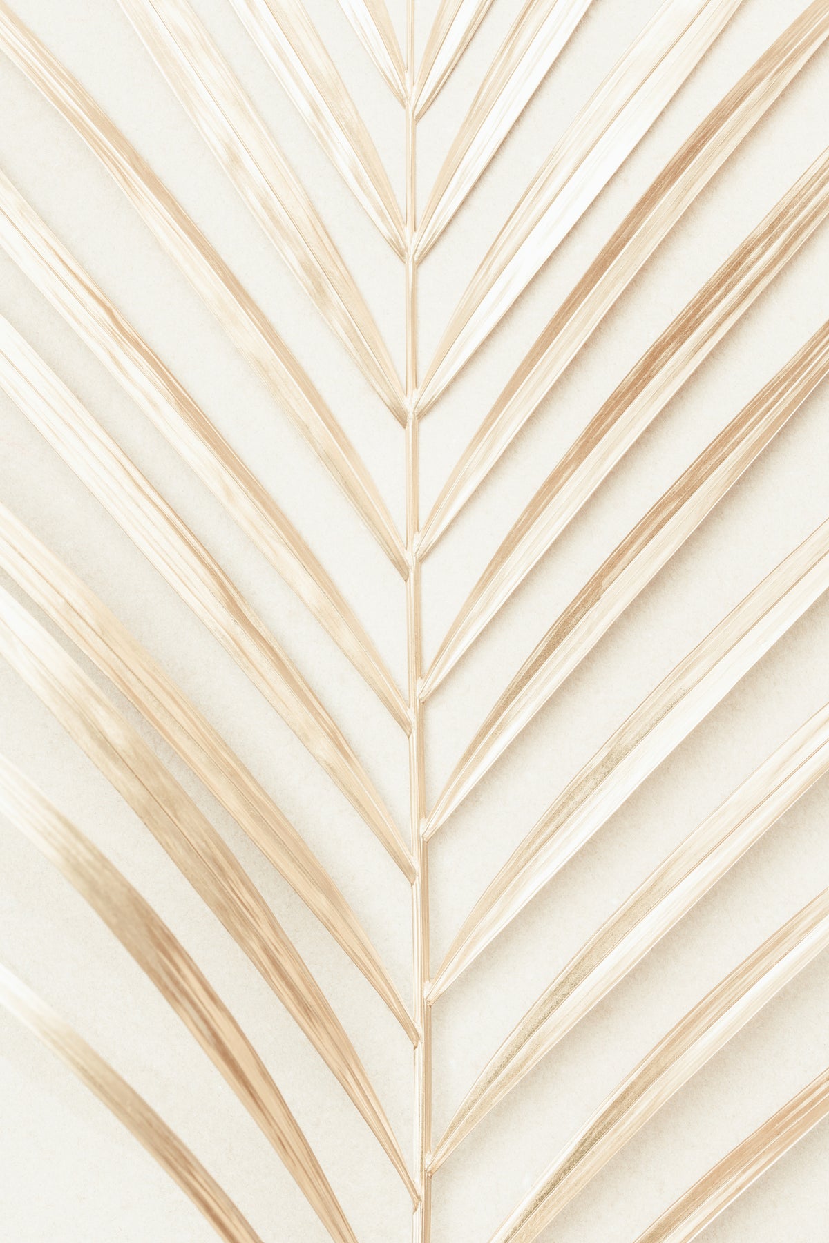 framedposter-print-golden-palm-leaf