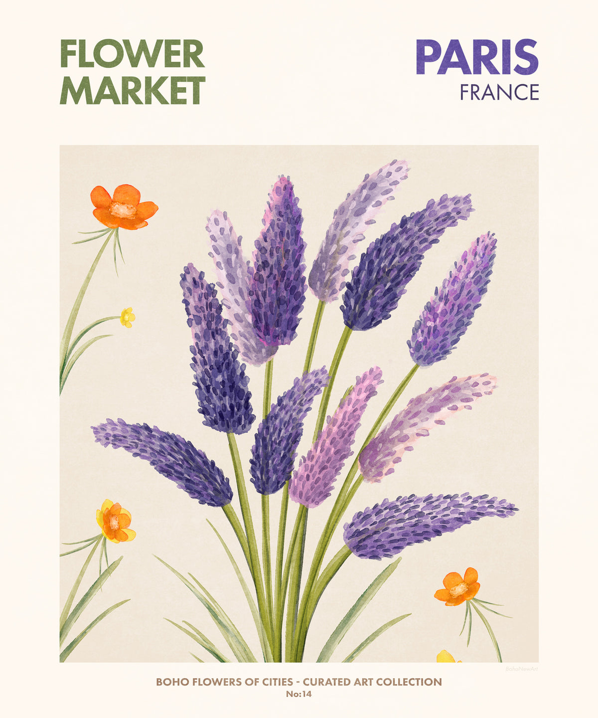 canvas-print-lavender-blooms
