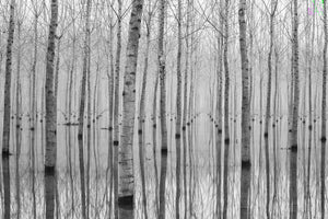 aluminium-print-novembre-2014