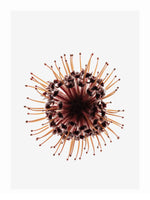 framedposter-print-pin-cushion