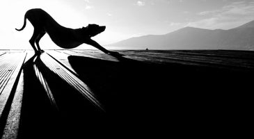 canvas-print-sun-salutation