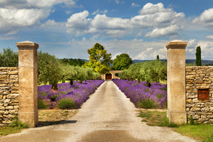 framedposter-print-lavender-garden