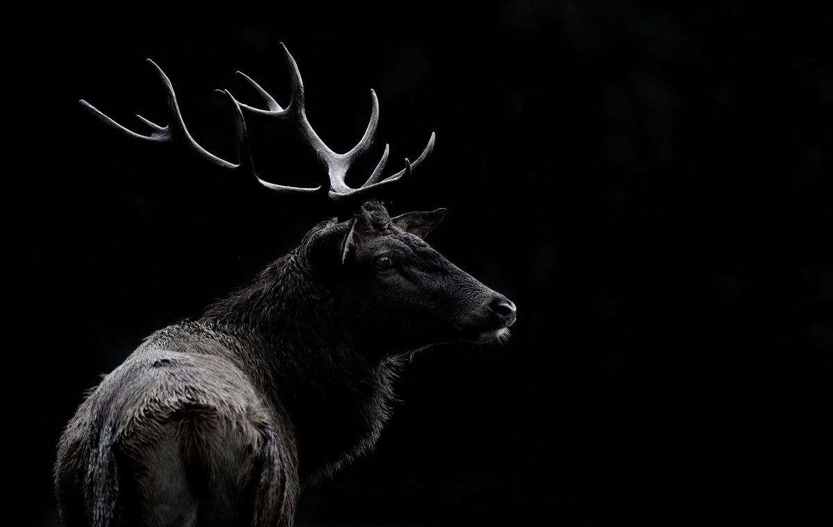modern-3-piece-canvas-print-the-deer-soul