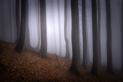poster-print-autumn-mood-2