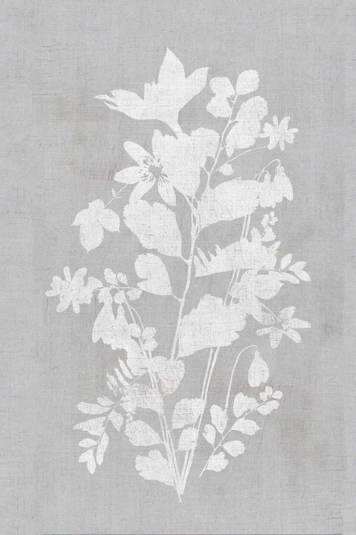 aluminium-print-botanical-illustration-2