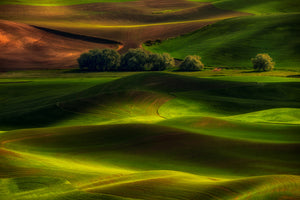 3-piece-acrylic-print-spring-in-the-palouse