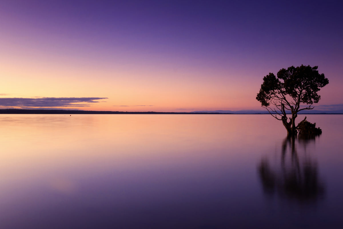 3-piece-canvas-print-sunset-on-the-tree-in-the-water