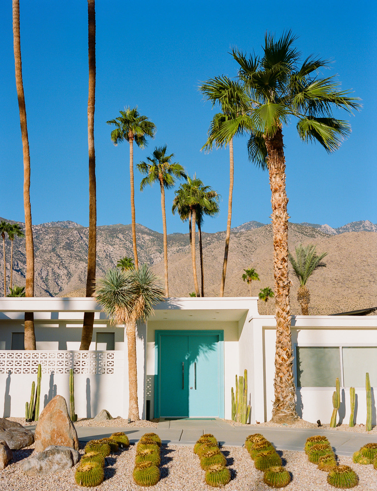 framedposter-print-palm-springs-architecture-vii-on-film