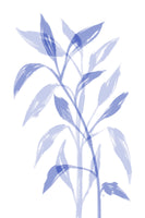 canvas-print-delicate-blue-leaves