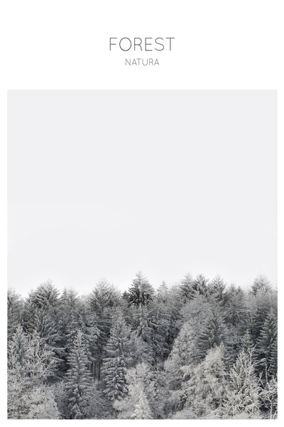 poster-print-frosted-tranquility