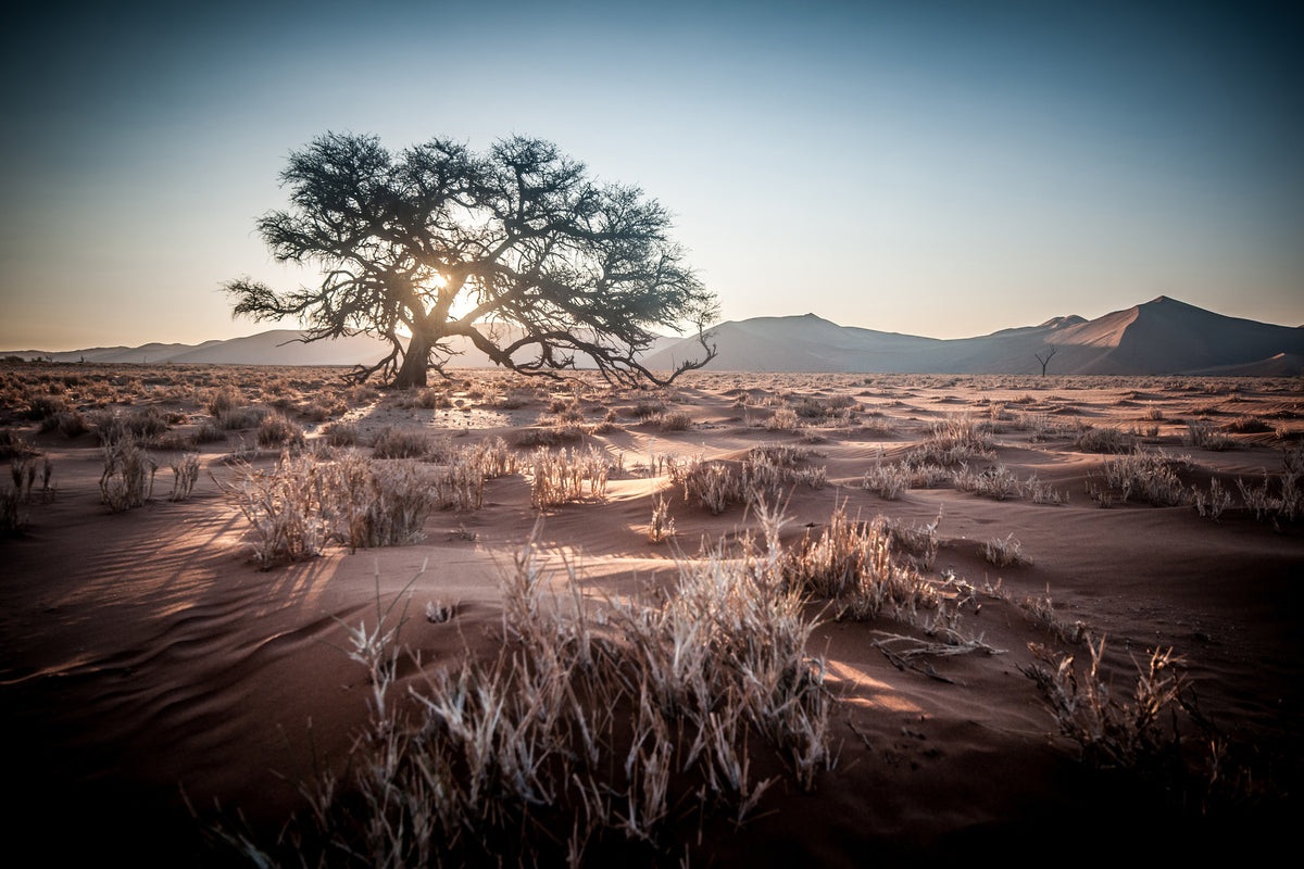 framedcanvas-print-longing-africa