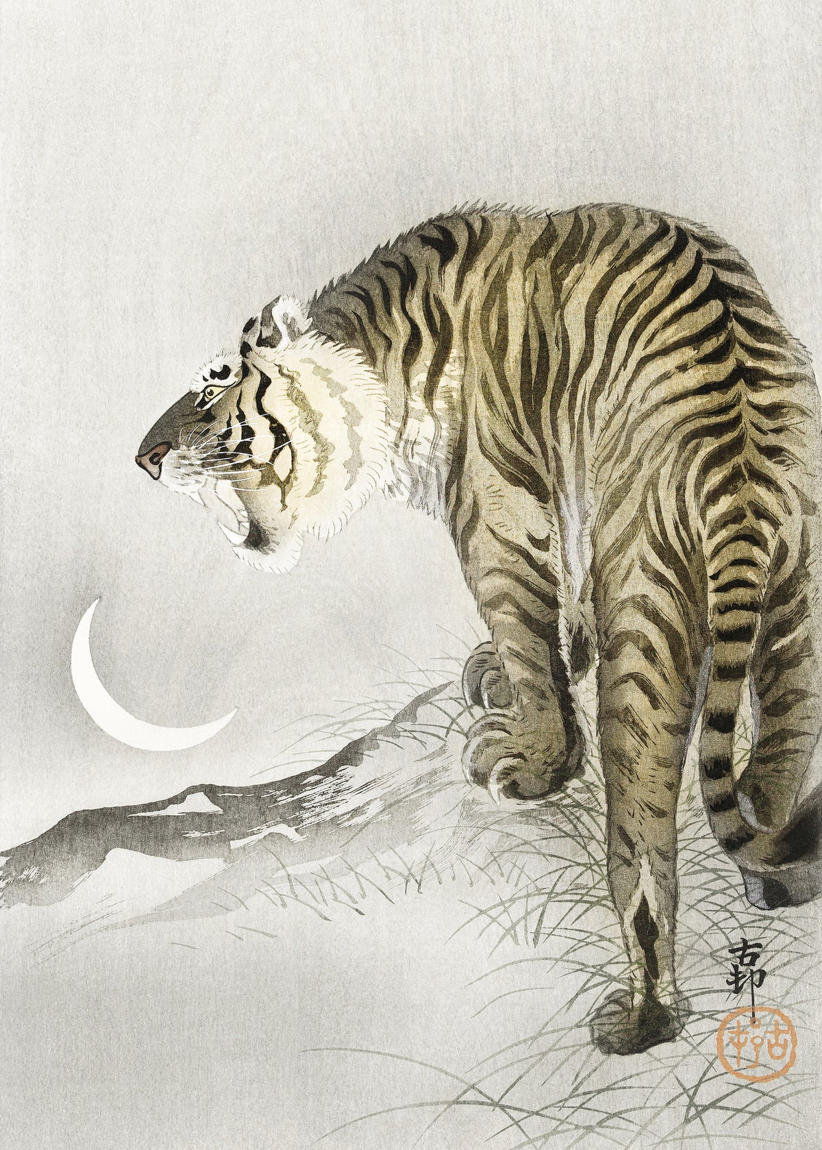 acrylic-print-roaring-tiger