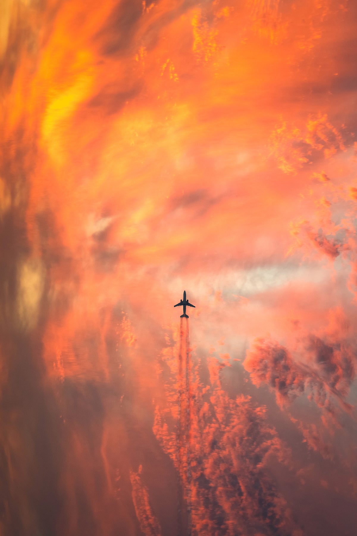 canvas-print-airplane