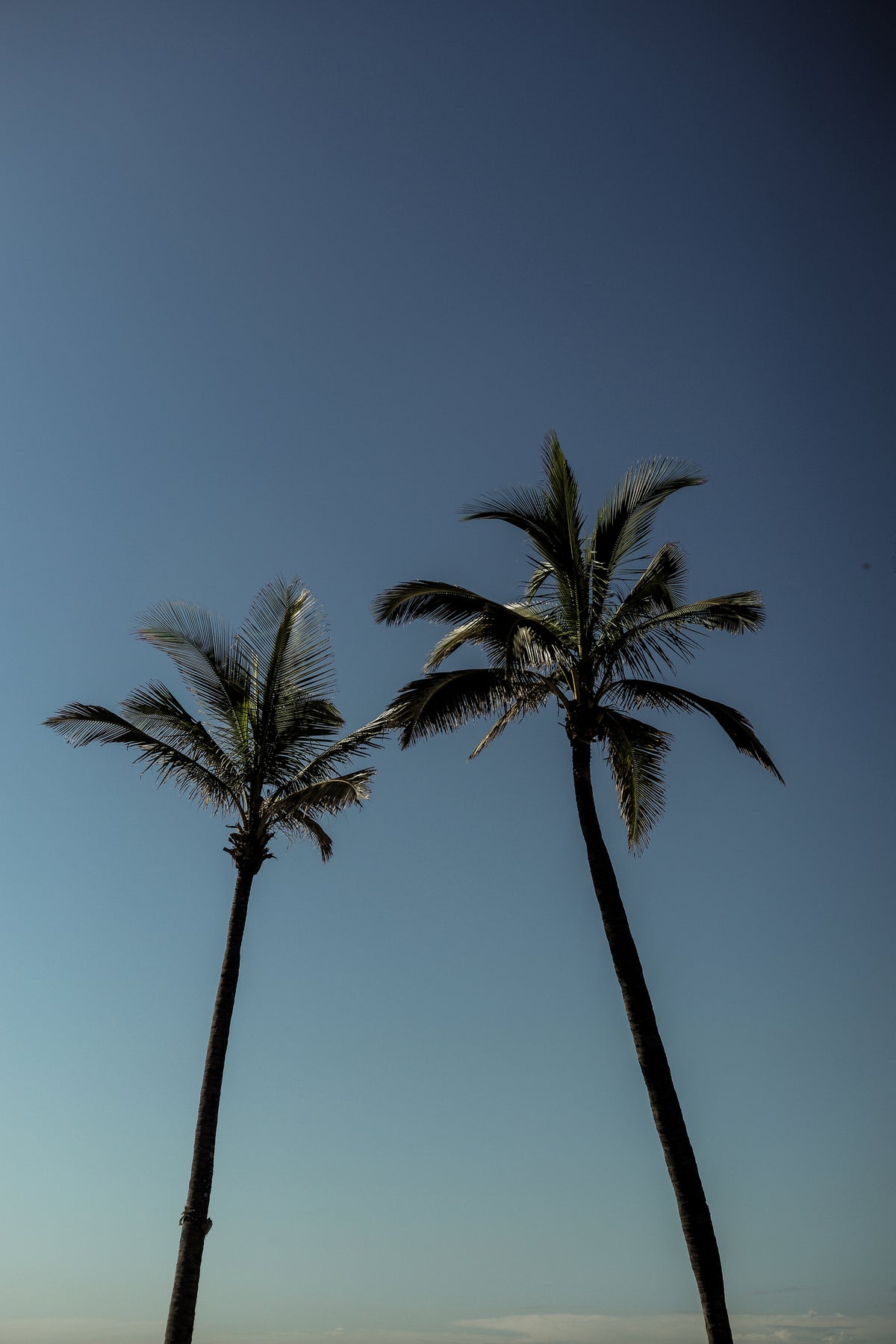 acrylic-print-silent-embrace