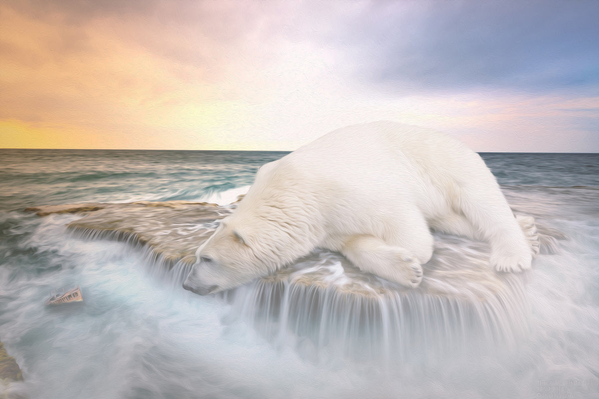 framedcanvas-print-the-polar-bear-and-the-sea