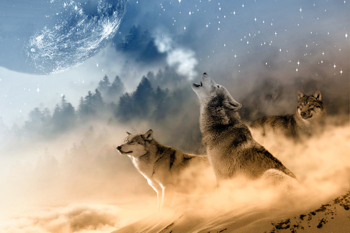 framedposter-print-the-world-of-wolves