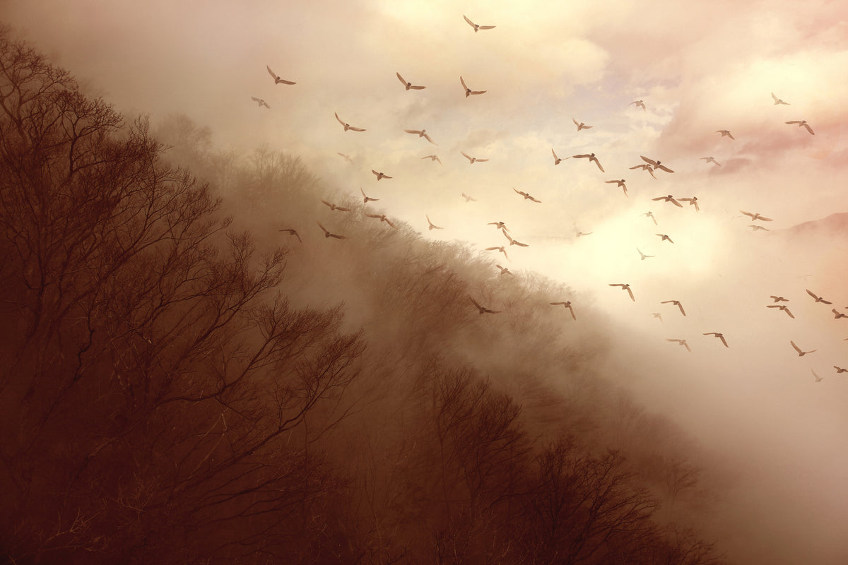 3-piece-canvas-print-departure