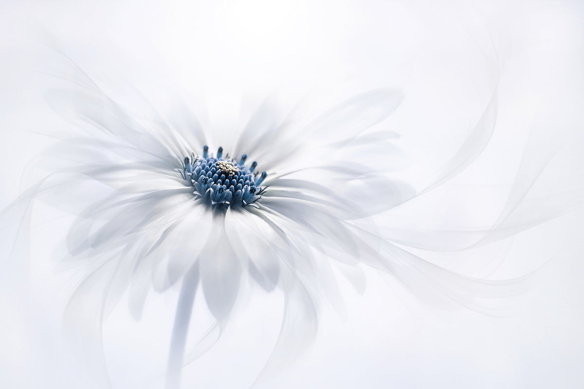 framedposter-print-serenity-4