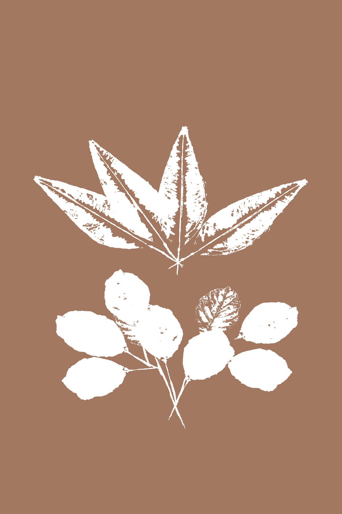 framedposter-print-botanical-silhouettes