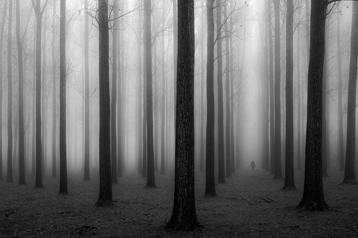 modern-3-piece-canvas-print-in-a-fog-2