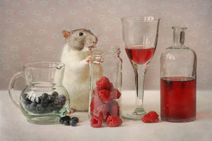 framedposter-print-snoozy-with-fruit-x